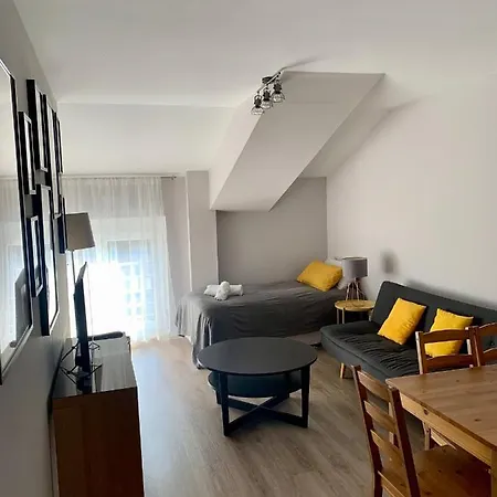 Acogedor Atico En El Centro Con Parking Bajo Reserva Apartment